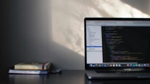 Custom wordpress development